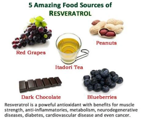 resveratrol food chart