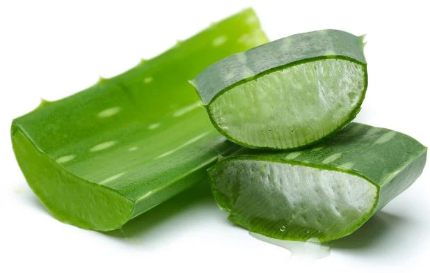 Aloe Vera Powder-1