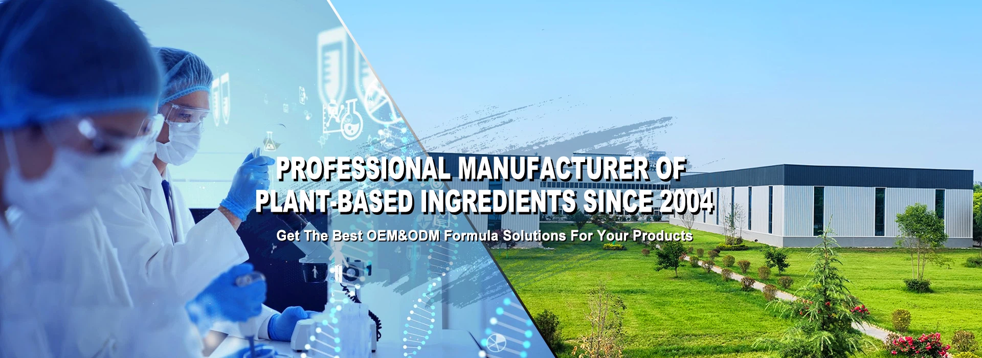 Plant Extract in Stock