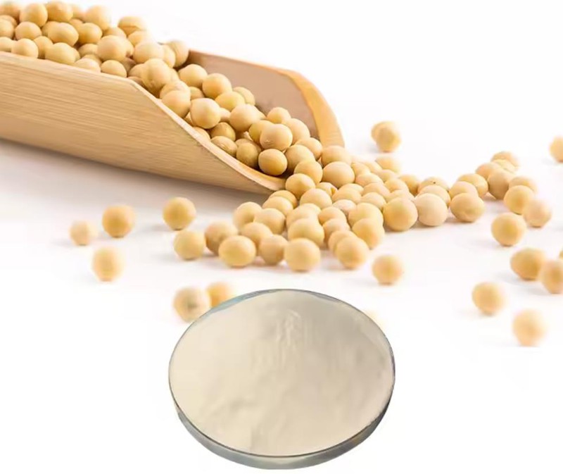 Hydrolyzed Soy Protein powder Hydrolyzed Soy Protein powder