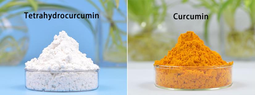 Kolombiyalı Müşteri, Curcumin 95% Geribildirim Aldı