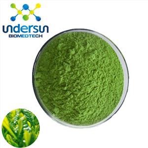 Matcha Tozu