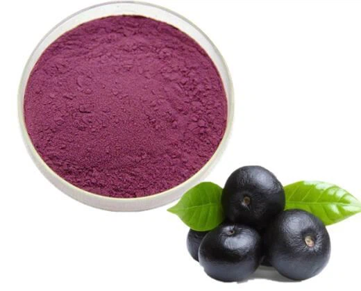 Organik Acai Berry Tozu