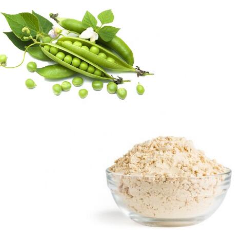 Organik Bezelye Protein Tozu