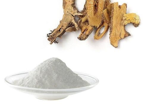Polygonum Cuspidatum Resveratrol