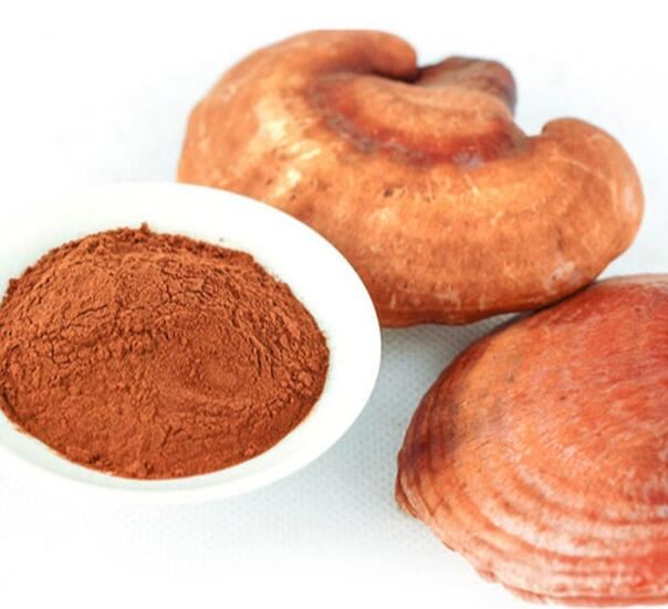 Reishi Özü Tozu