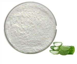 Aloe Vera Yaprak Tozu
