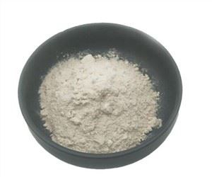 Dökme Psyllium Kabuğu Tozu