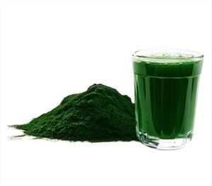 Chlorella Vulgaris Tozu