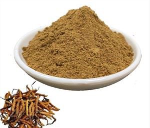 Cordyceps Mantar Özü