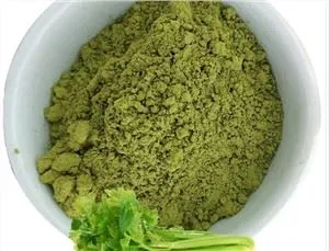 Dondurularak Kurutulmuş Kereviz Tozu