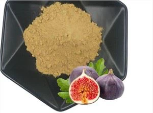 Dondurularak Kurutulmuş İncir Tozu