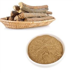 Organik Ashwagandha Tozu