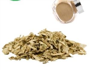 Salix Alba Söğüt Kabuğu Özü