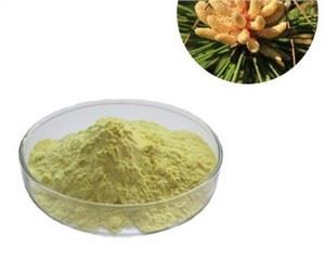 Sarı Çam Polen Tozu