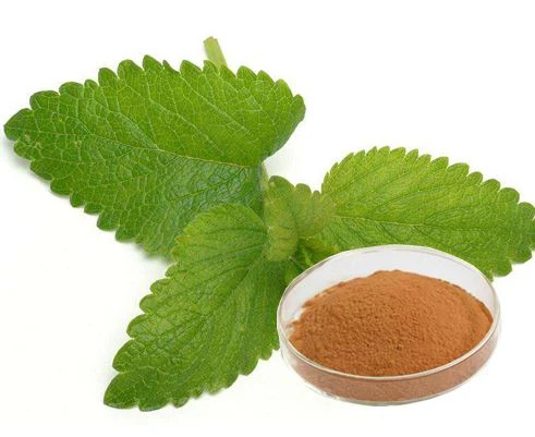 Limon Balsamı Nane Özü