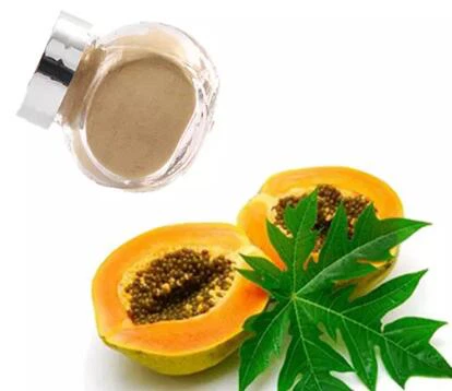 Papaya Yaprağı Ekstresi
