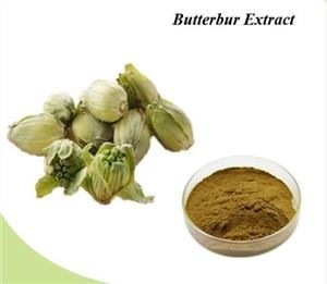 Butterbur Yaprak Özü