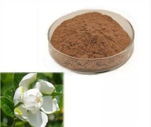 Gardenya Çiçeği Özü